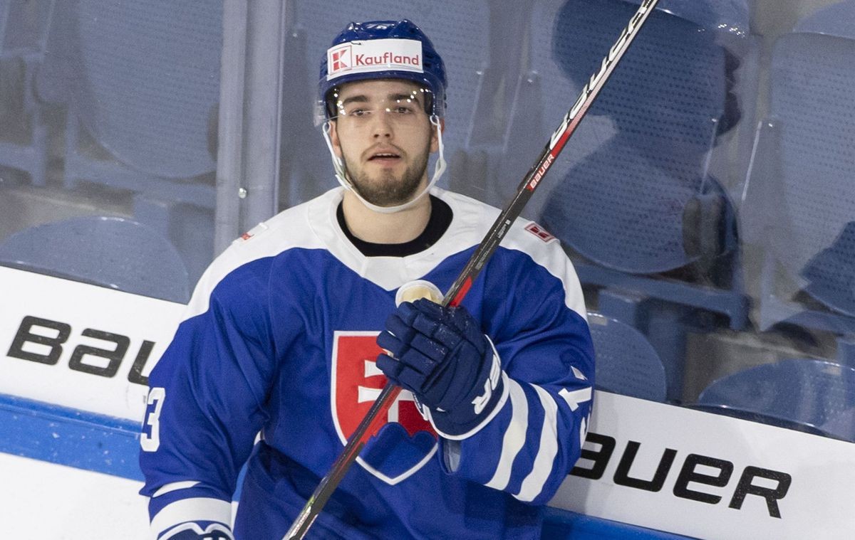 Hokejová reprezentácia